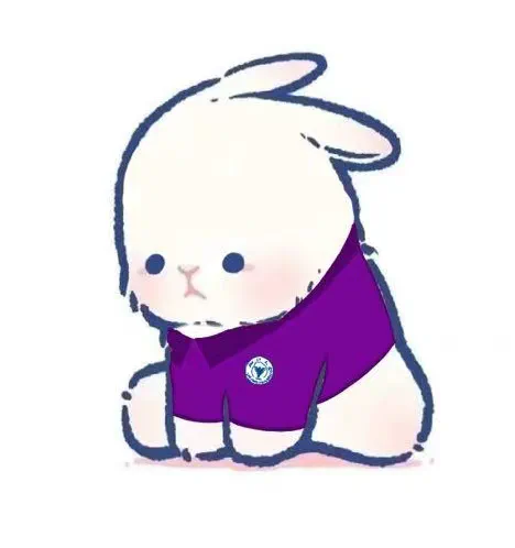 图片8